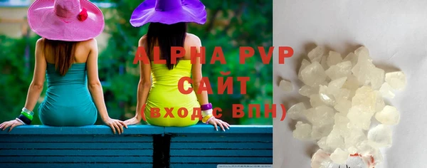 прущие грибы Беломорск