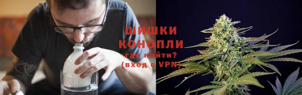прущие грибы Беломорск