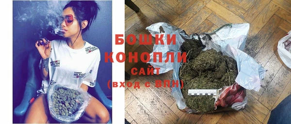 прущие грибы Беломорск
