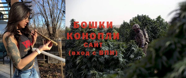 прущие грибы Беломорск