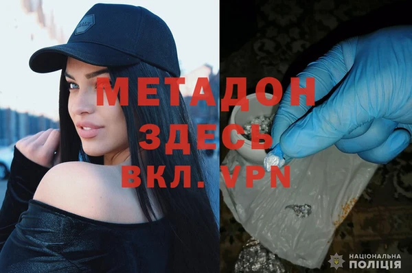 прущие грибы Беломорск