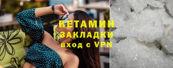 прущие грибы Беломорск