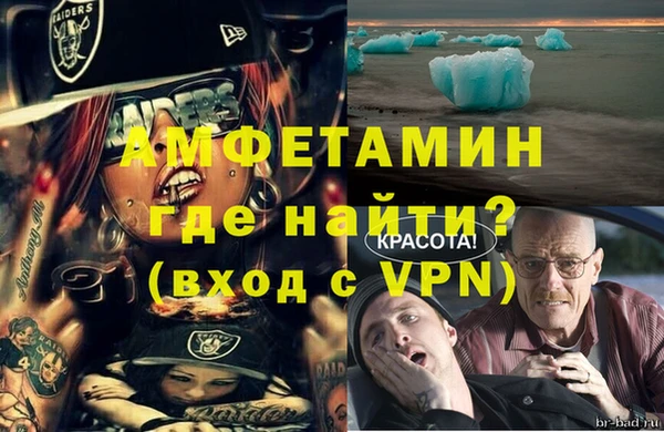 прущие грибы Беломорск
