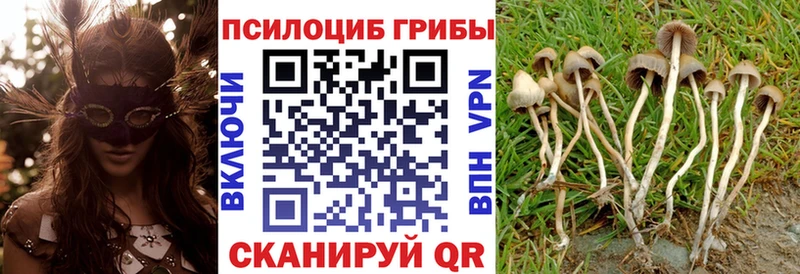 что такое наркотик  Соль-Илецк  Галлюциногенные грибы мухоморы 