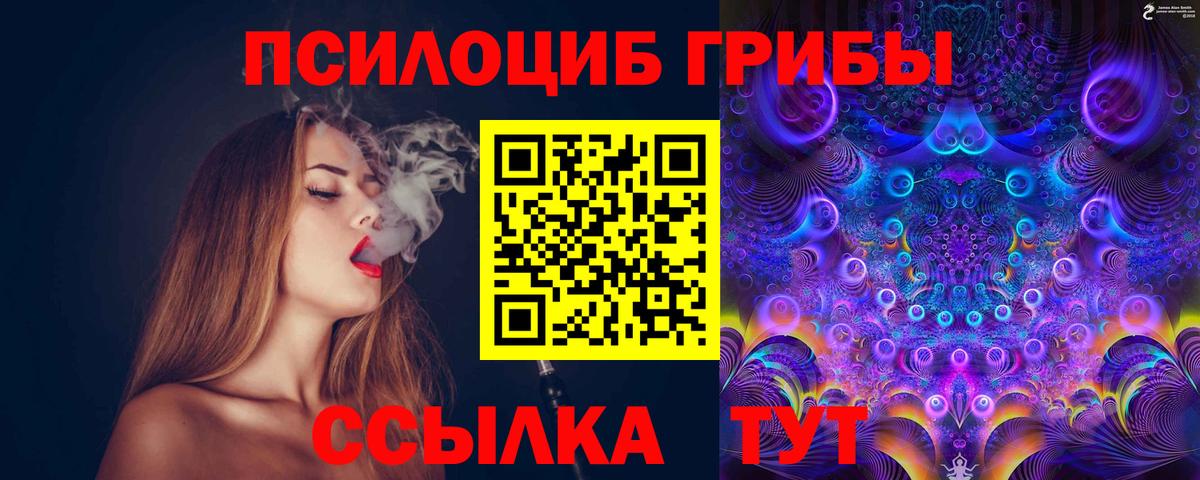 Соль-Илецк  Псилоцибиновые грибы Psilocybine cubensis  Галлюциногенные грибы Psilocybine cubensis  Вход с VPN 