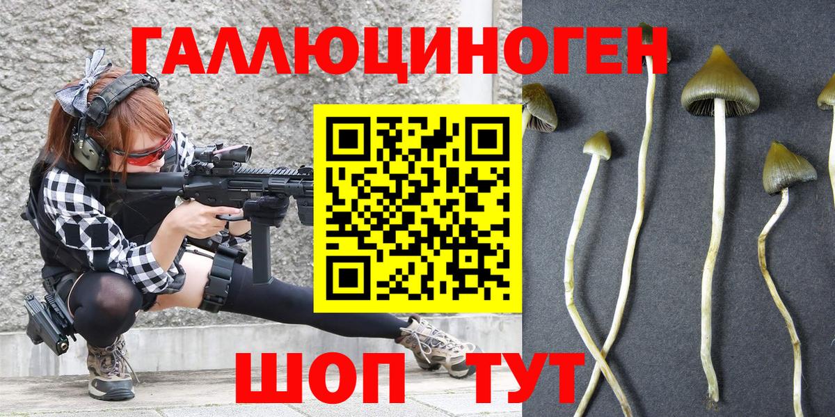 Псилоцибиновые грибы Psilocybe Соль-Илецк
