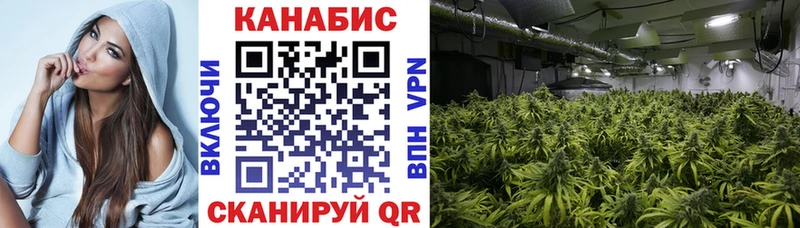 Бошки марихуана ГИДРОПОН  OMG ссылки  Соль-Илецк 